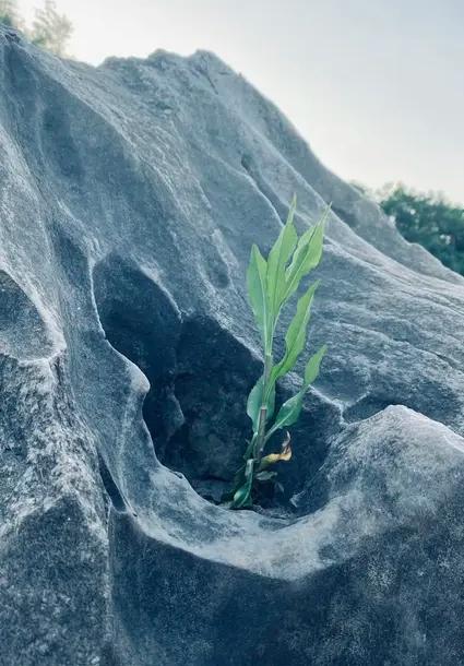 逆境就像磨刀石，能把人磨得更加锋利。王阳明在龙场的困厄中实现了悟道，于绝境中见真