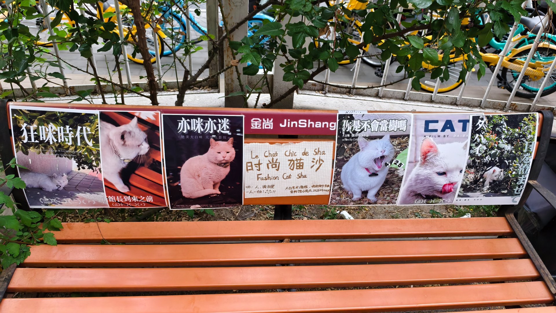 bjiff兑水还能喝💧 