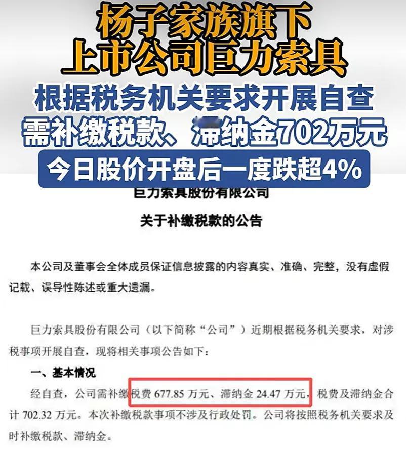 演员杨子家族旗下上市公司被清算，该还的账可能才刚开始。

近日，巨力索具发布公告