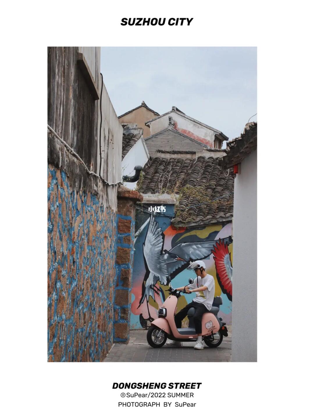 苏州东升里｜在灰墙黛瓦里的涂鸦墙与喵同行