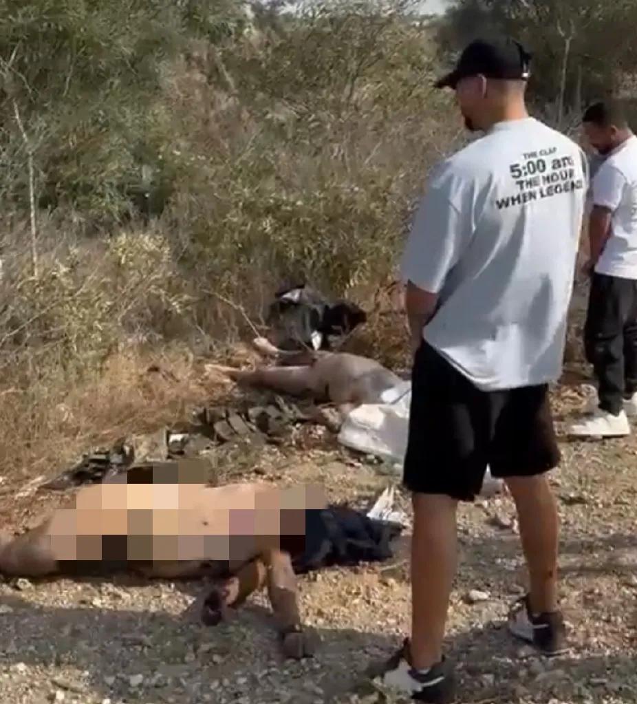 几名以色列青年极尽所能地对死亡的两名巴勒斯坦人进行羞辱，他们将死者衣服扒光，往他