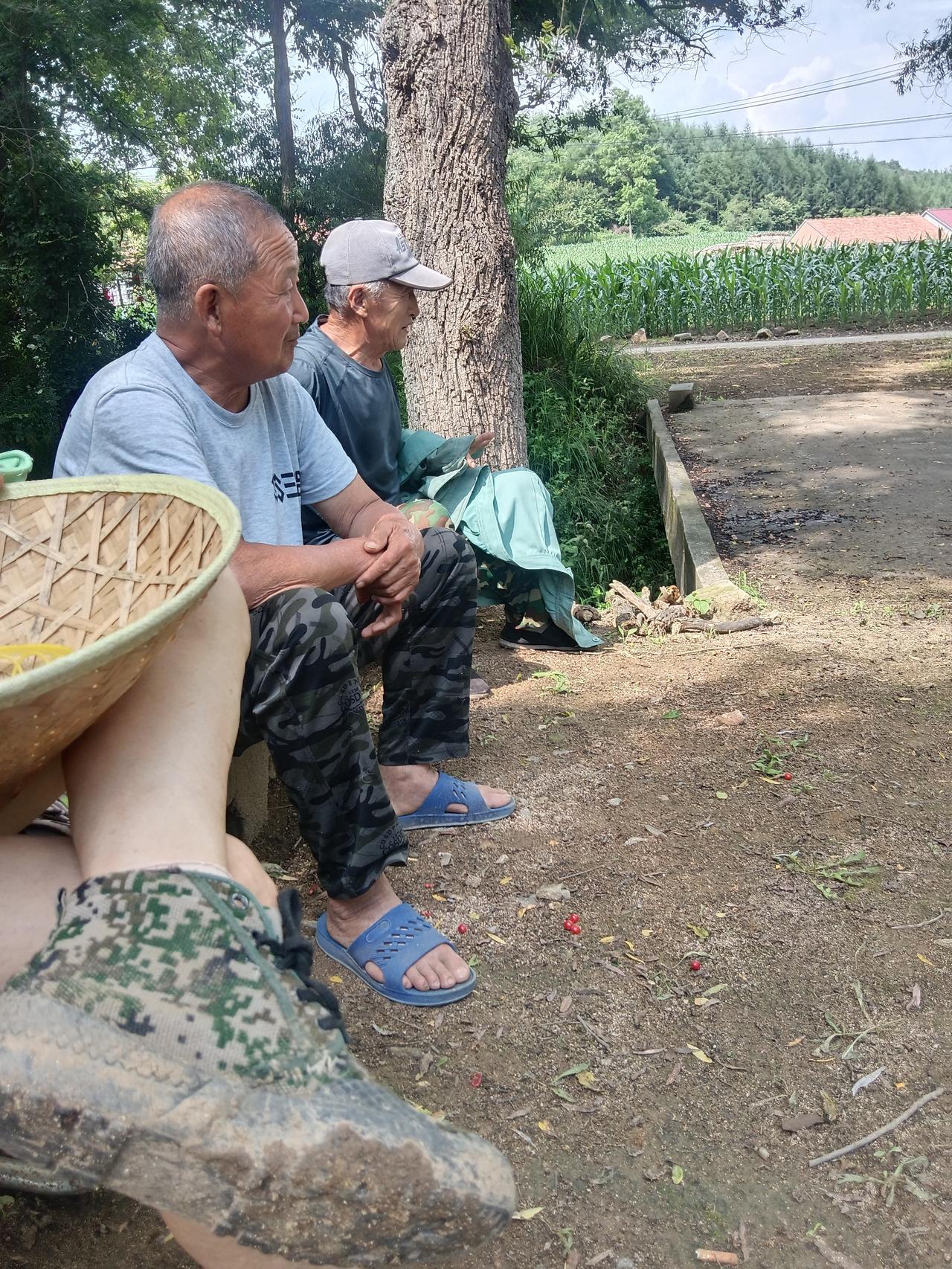 我一回到农村老家，我邻居没事的都上我家屋后的小树下坐着乘凉唠嗑。他们都是觉得我这