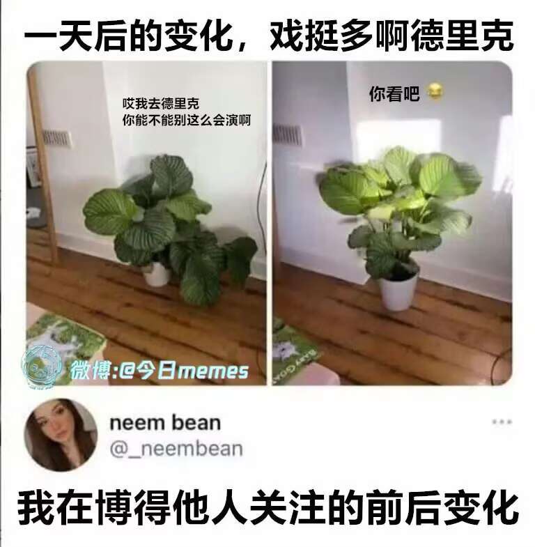 半夜的我就这样搞笑搞笑图片meme今日memes