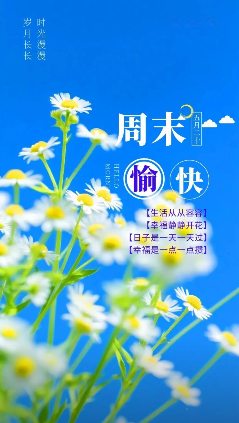 夏晨问安，清风伴夏常如意，岁月留香万事宁。
2026./07.04.
[微风][