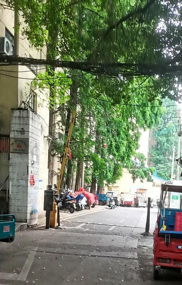 高考级别一览表：
查到578分时，一家人把两年来的愁云都笑散了。
那个高一还徘徊