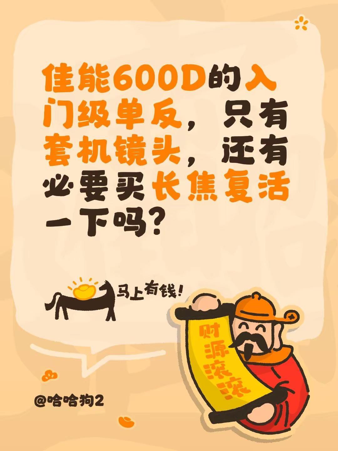 佳能600D的入门级单反，只有套机镜头，还有必要买长焦复活一下吗？
