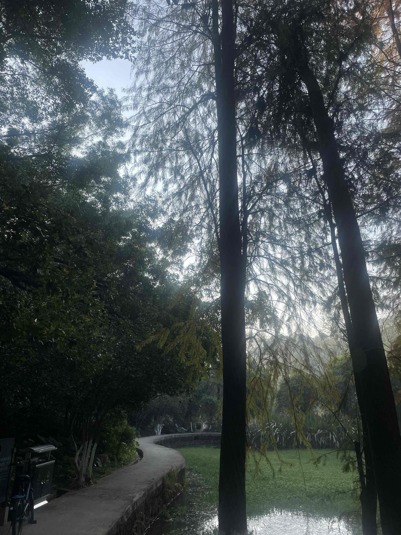 我发现，
不是所有人都在头条赚到钱，
就比如我，
今年才发现原来头条是有收益的，