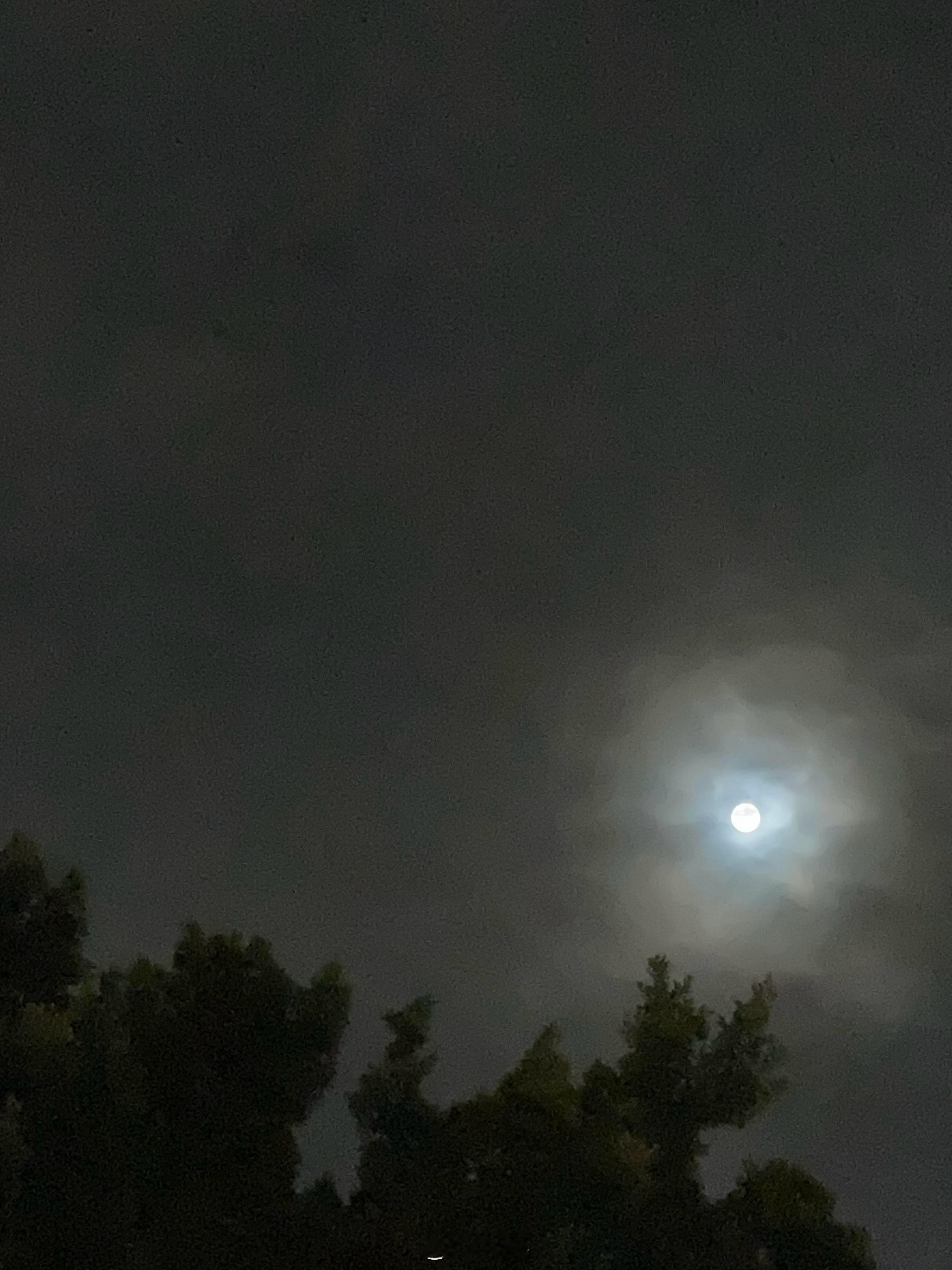 为什么 这一刻 林间吹来的晚风让我们 有了心灵的感应我走的 晴朗和泥泞走的月光和
