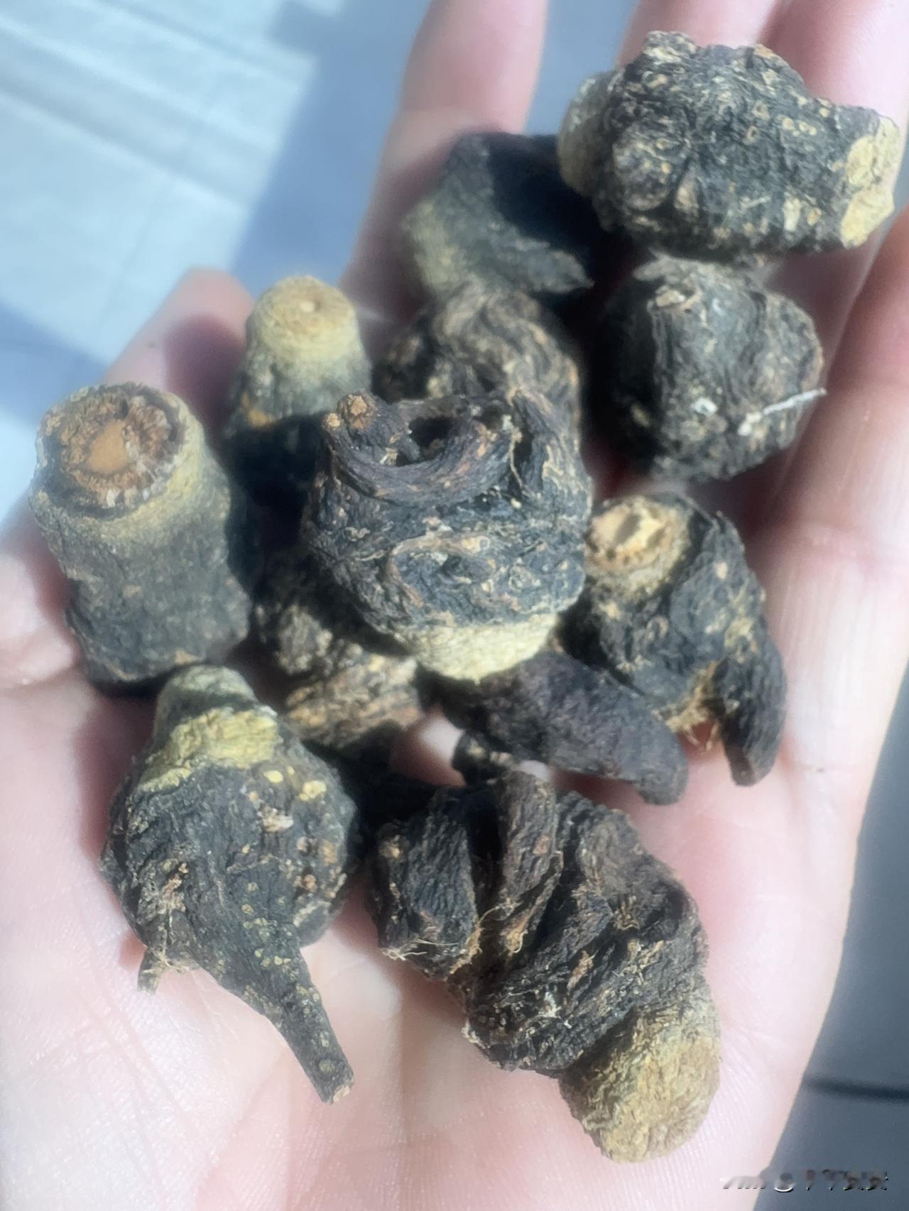 被老公投喂的“黑疙瘩”，有点暖✨

今天被老公塞了一把黑不溜秋的小疙瘩，说是给我