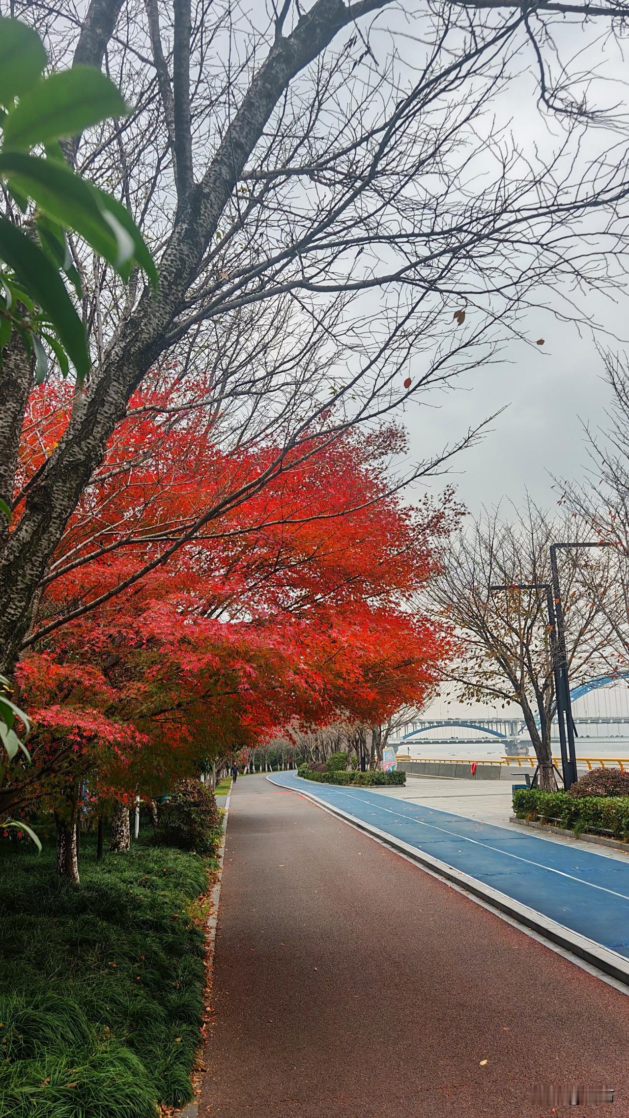 我从来没像今天这样讨厌一个陌生人。
今天，包子铺来了一个带着两个孩子的年轻女人，
