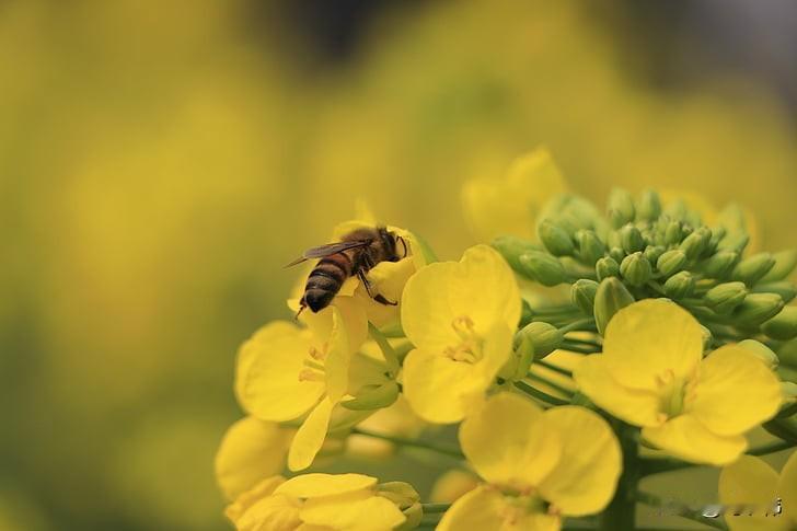 开盘很差，盘中很弱，收盘红了[呲牙]这就是最近的节奏