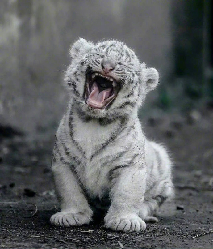 下周的你，超级的顺，见者有份 