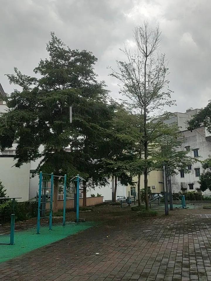 要说莆田哪处风景最美，我首推湄洲岛。它位于台湾海峡西岸，山清水秀、四季如春，有“