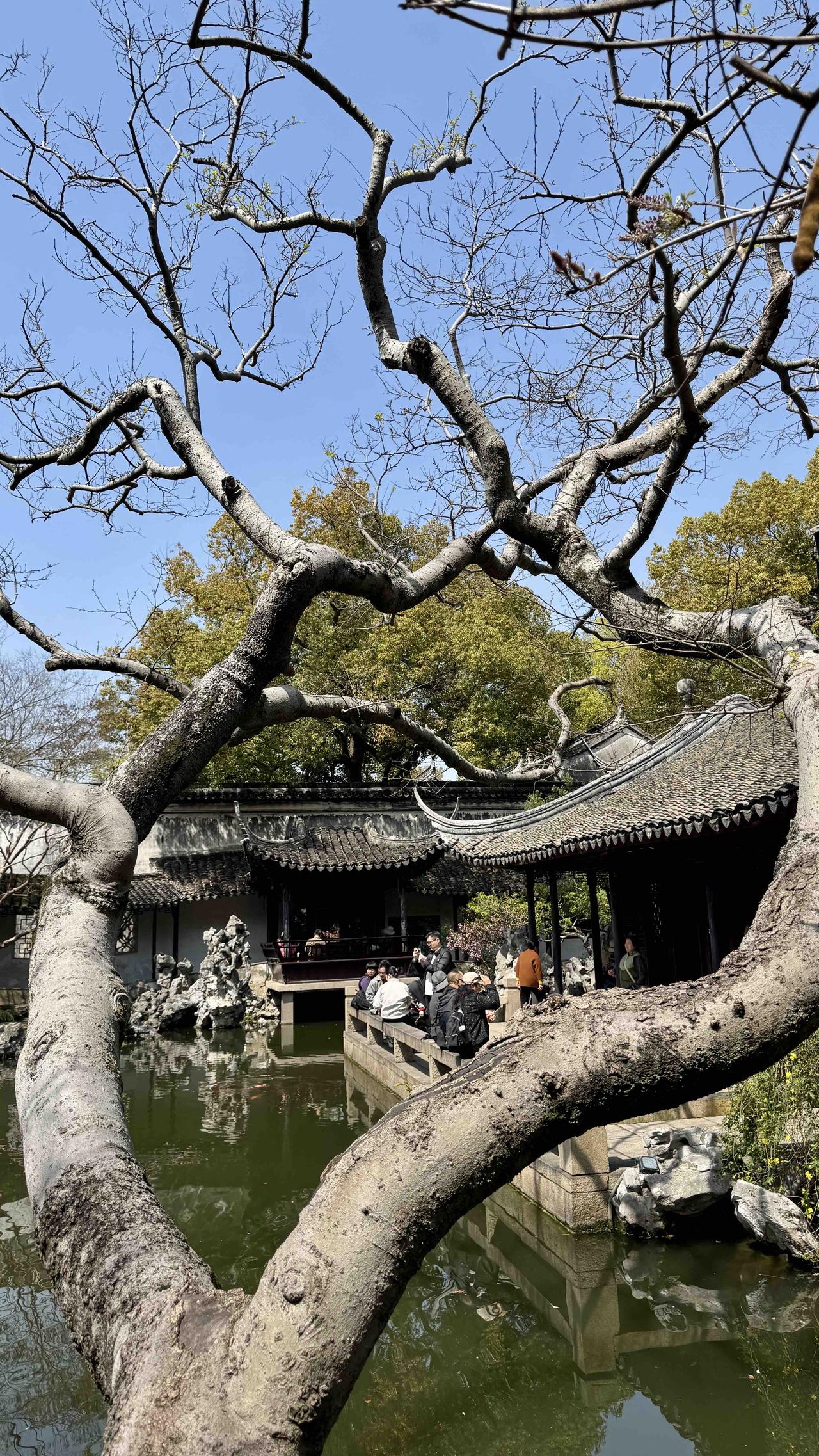 昨天与朋友叁人一起去同里古镇。古镇的民居与小街沿河碗转，不知谁融入了谁？退思园精