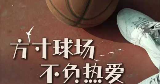 视频 | 方寸球场 不负热爱