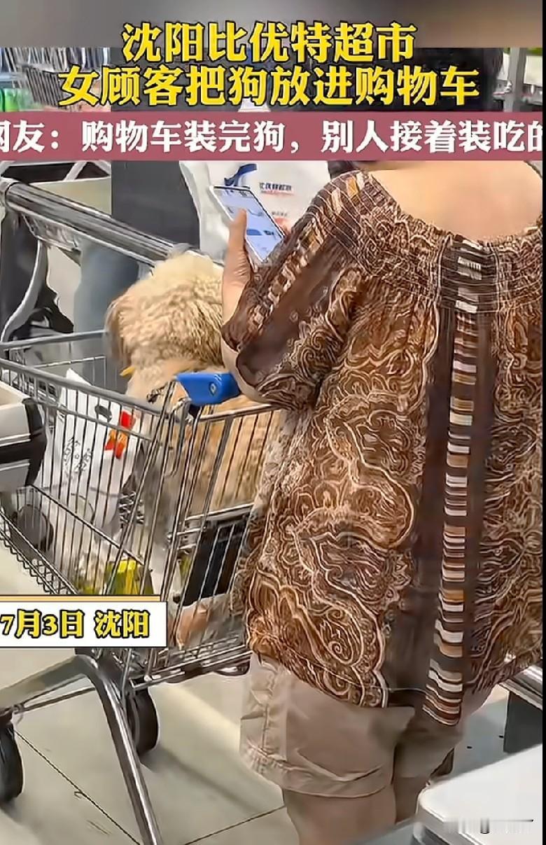 沈阳一家超市进狗了，这可是官方媒体报道的！

7月3日，有网友拍视频曝光，在沈阳