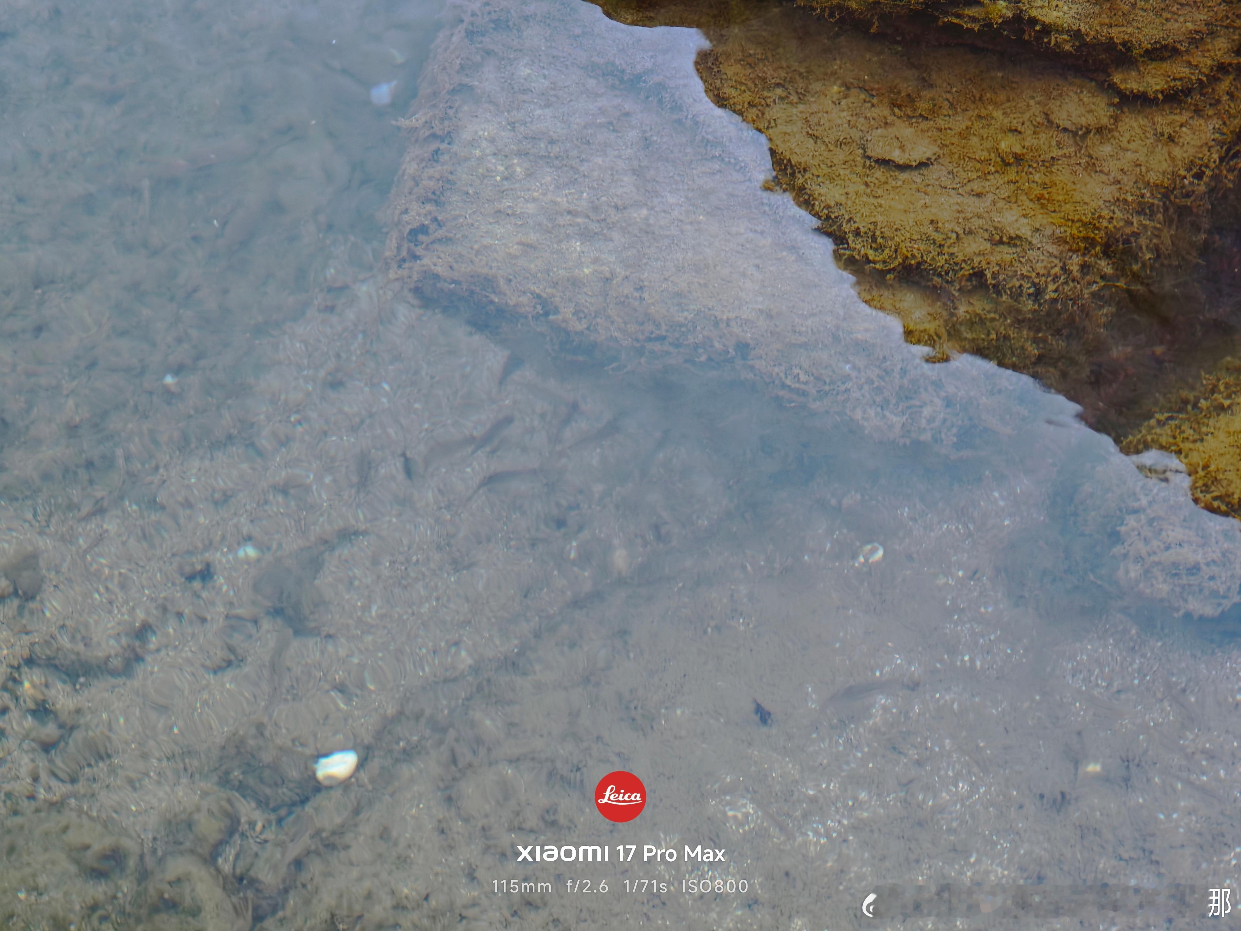 山寨车，已经基本可以宣告失败了手机贴身肉搏的战术，一模一样放在车上看起来是不管用