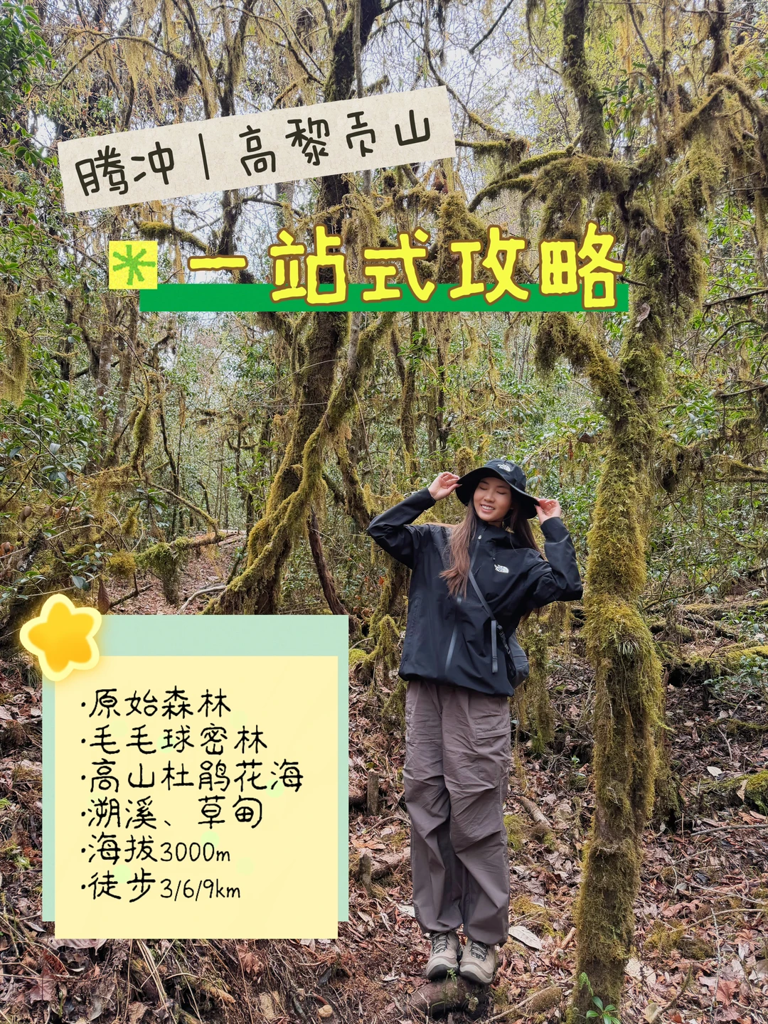 腾冲｜高黎贡山雨林徒步🌳一站式攻略