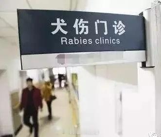 如果被狗攻击，什么才是有效的方法？1，远离 狗的肢体语言可以说很多。如果它的耳朵