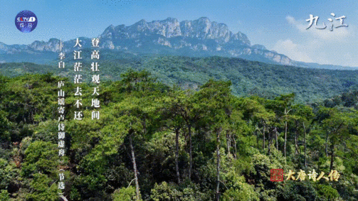 在江西走着走着就走进了唐诗里  文化中国行唐诗里的秀美山川  江西的旅程，是一次