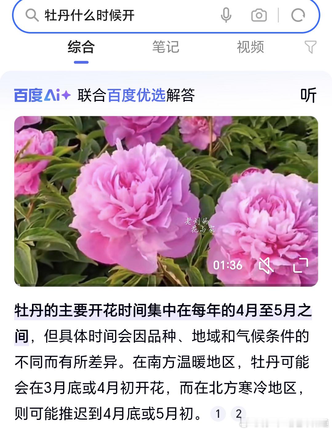 杨紫说无论何时牡丹都会盛开 此牡丹非彼牡丹。这个牡丹花45月左右开[作揖]小学生