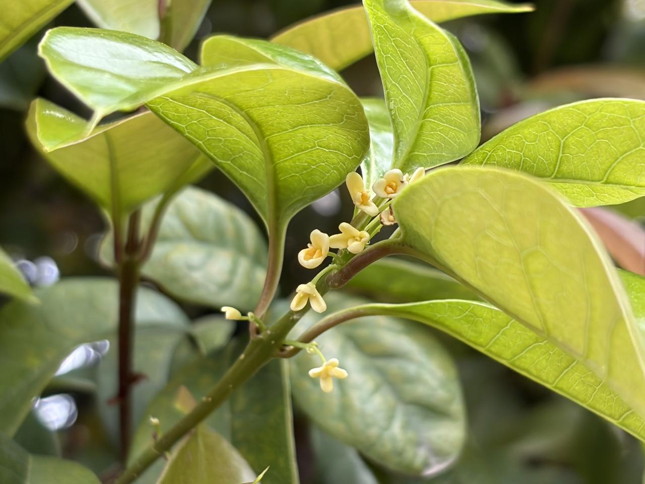 朋友孙老师退休后，跟着女儿去了广州定居。

从她朋友圈，我才知道她女儿近期要结婚