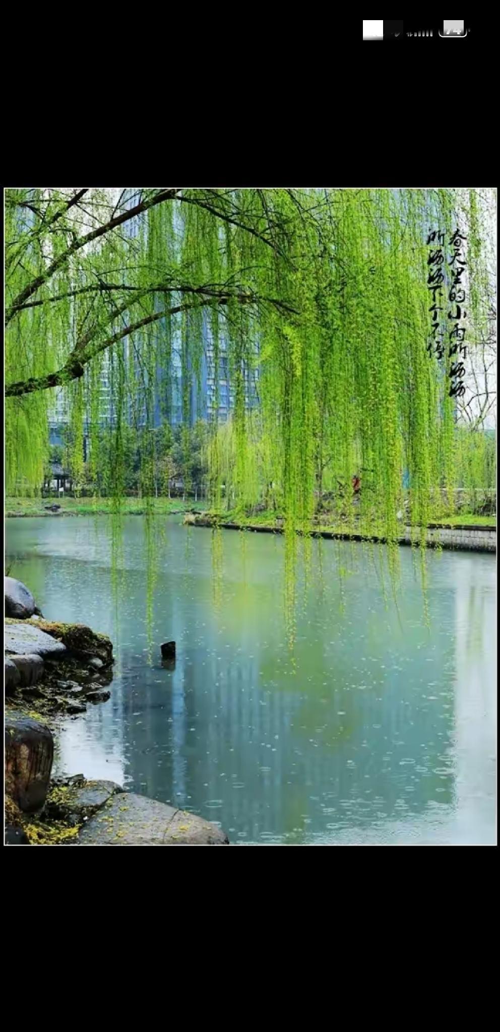 [燃烧的心]四季[燃烧的心]
春临绿柳撩水影，
夏至熏风促蝉鸣。
秋霜染枫千山俏