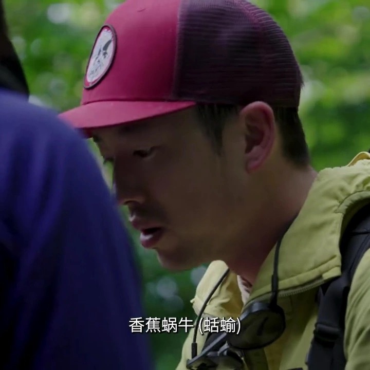 为什么你们都喜欢把这些恶心的虫子拿到王一博脸上探索新境2