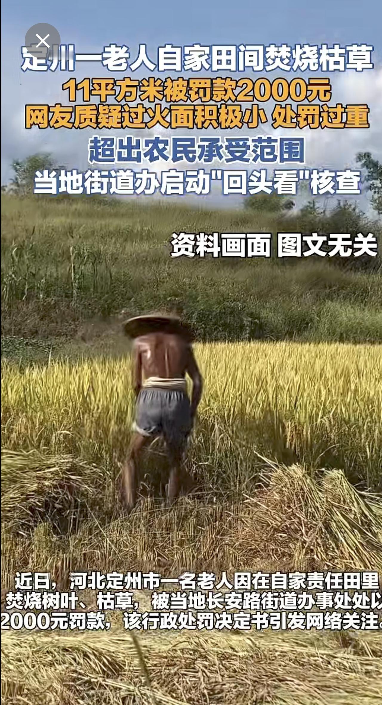 定州一老人自家田间焚烧枯草11平方米被罚款2000元 街道办启动“回头看”核查（