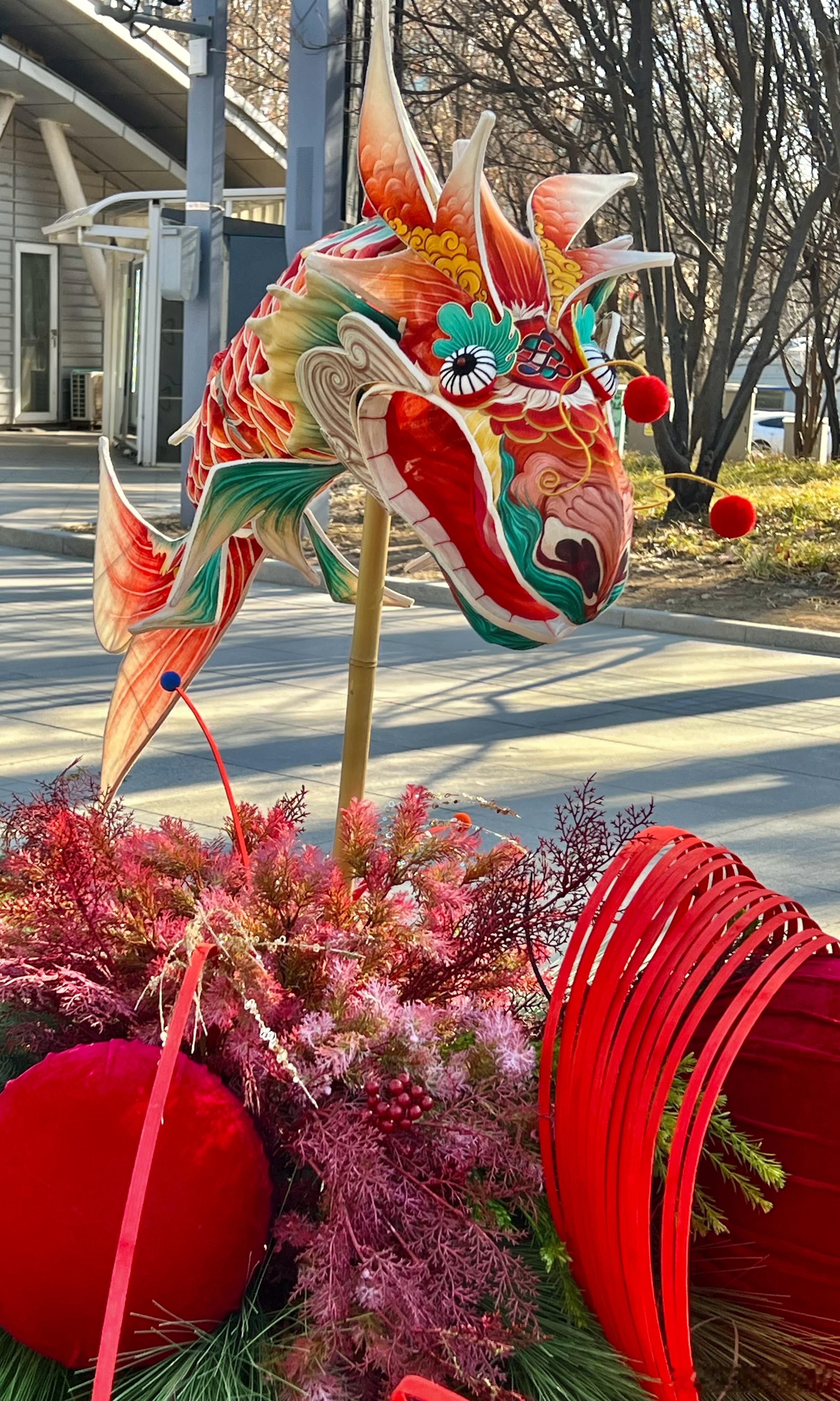 海淀公园 冬日美景摄影