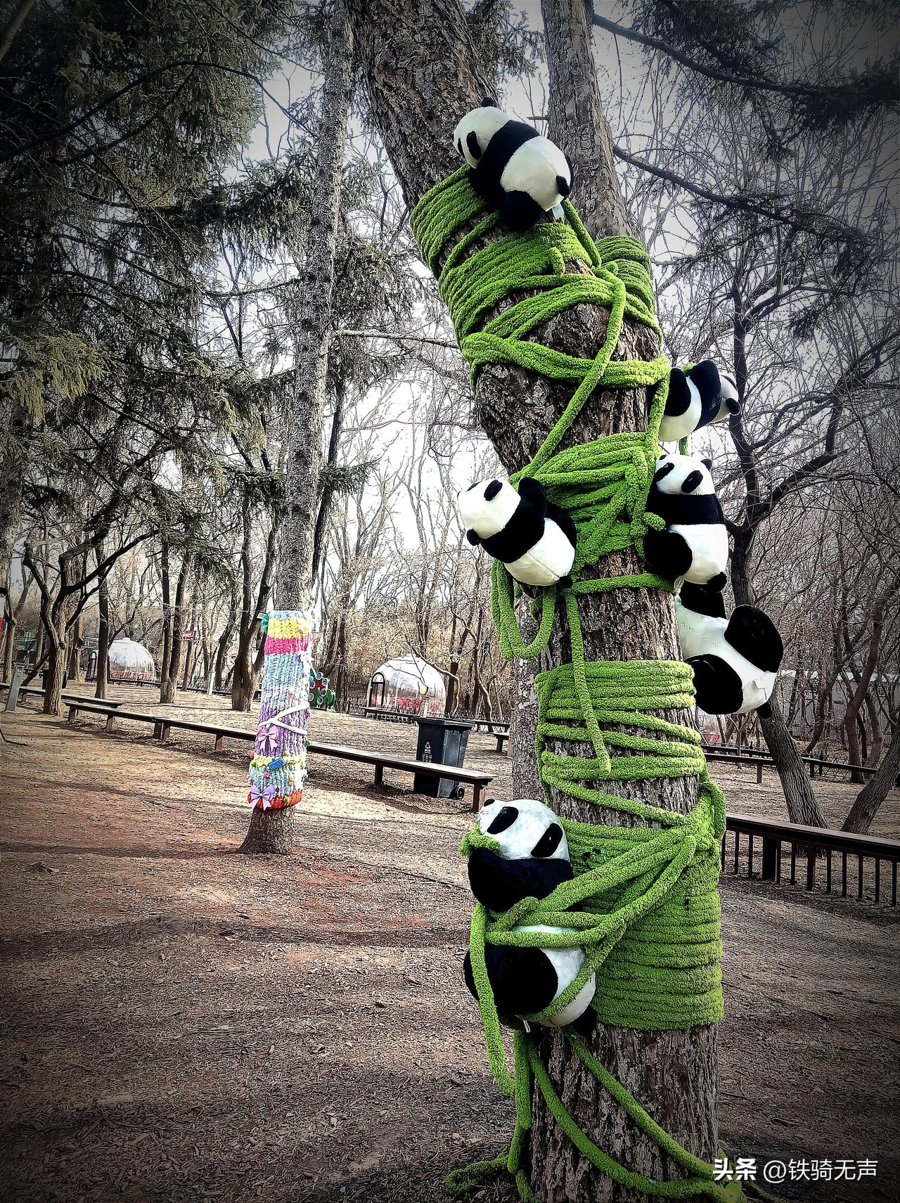 家乡的美，不用刻意展示出来，它就融合在我们的生活之中。
轻风细雨，朝晖夕阴、楼阁