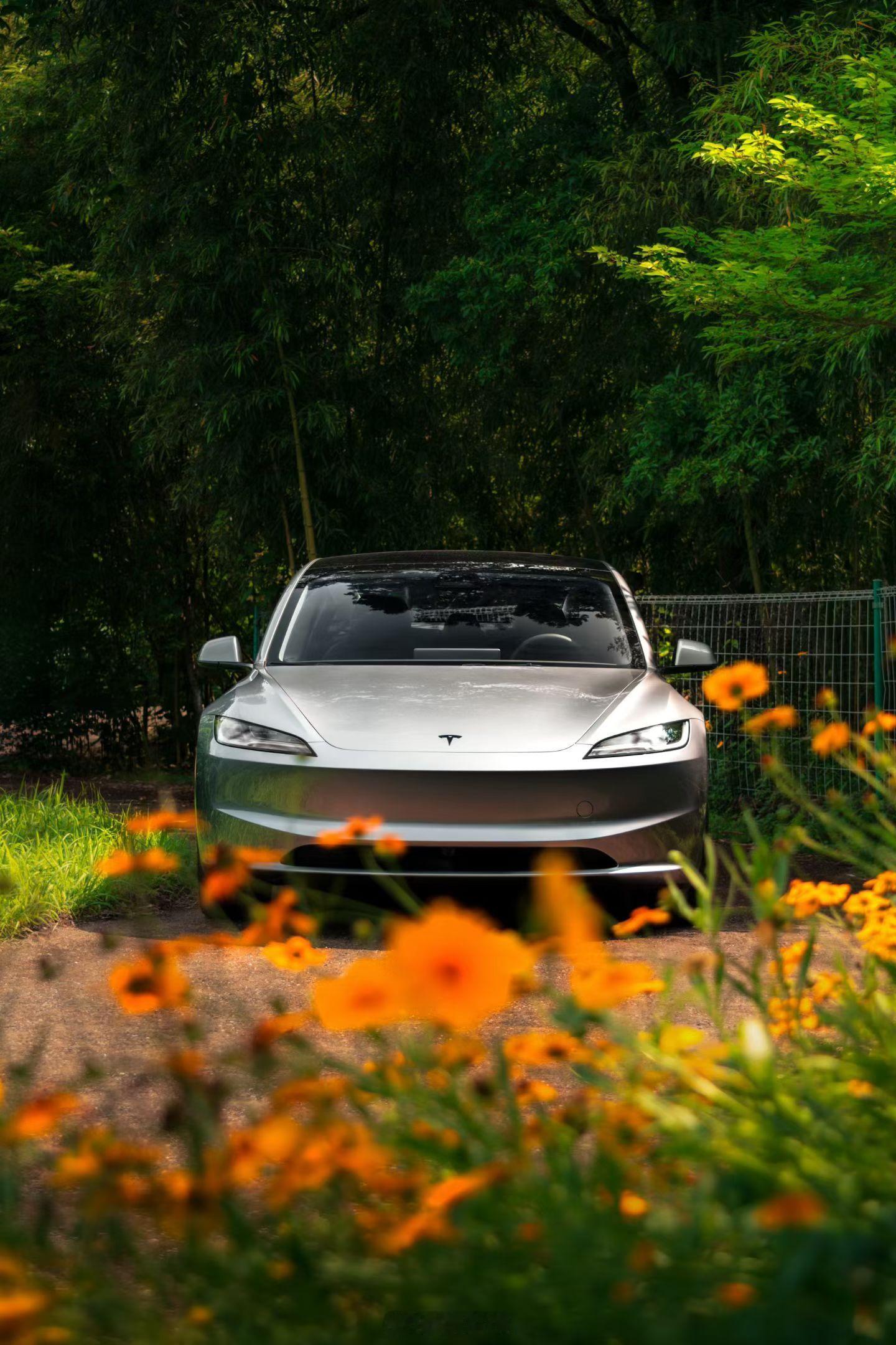 和Model 3一起驶入夏天☀️惬意感快“银”一步⚡️ 