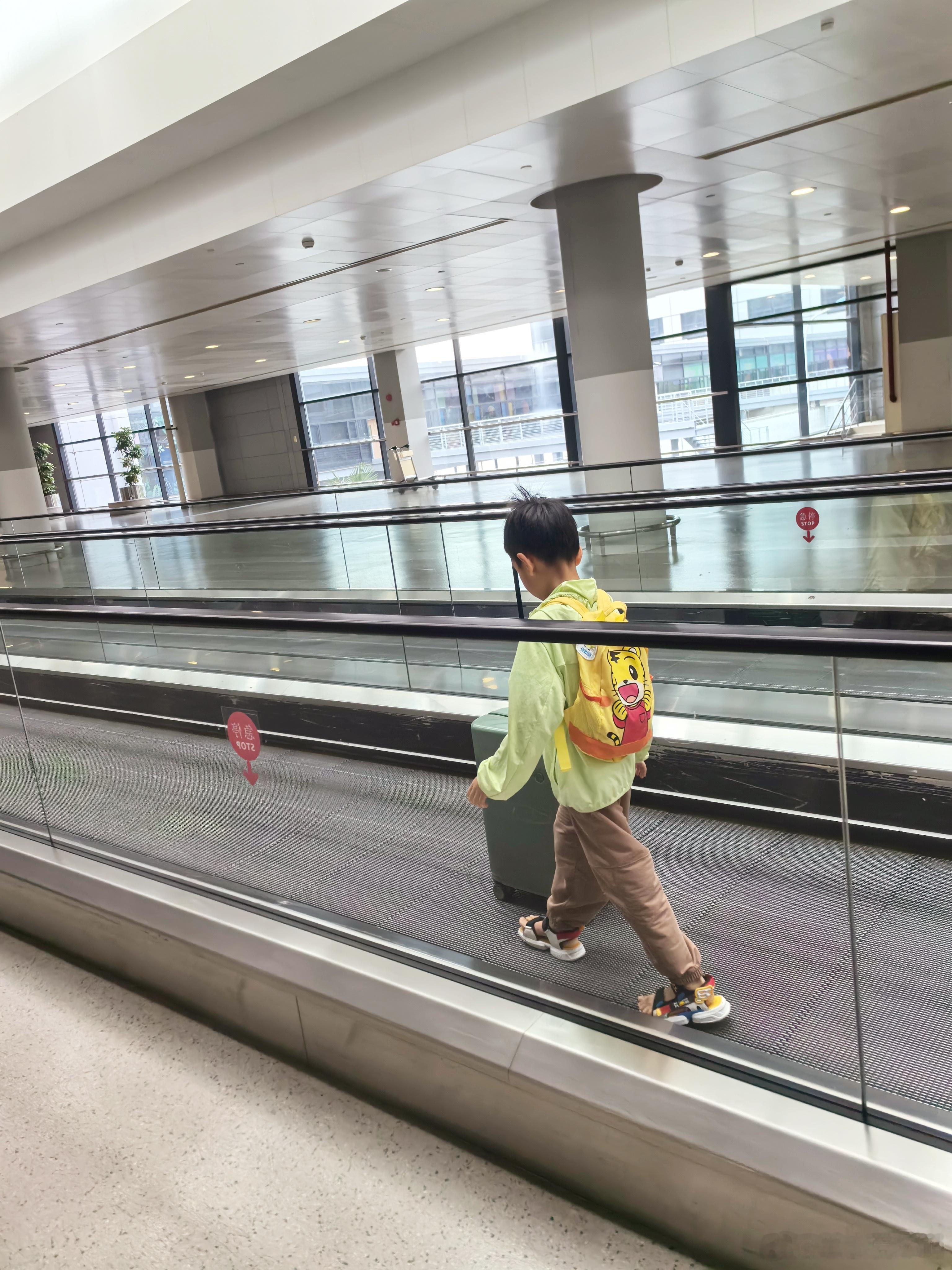 出发回成都啦🛫主打一个听劝，还是你们想得周到，所以决定带着小恩一起回啦。其实俩