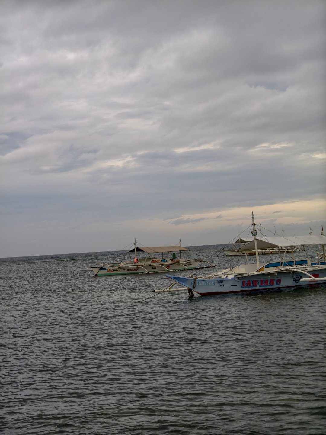 下午出海钓鱼，六个人全部空军，就4只小鱼小虾，果然新手不适合钓鱼 菲律宾