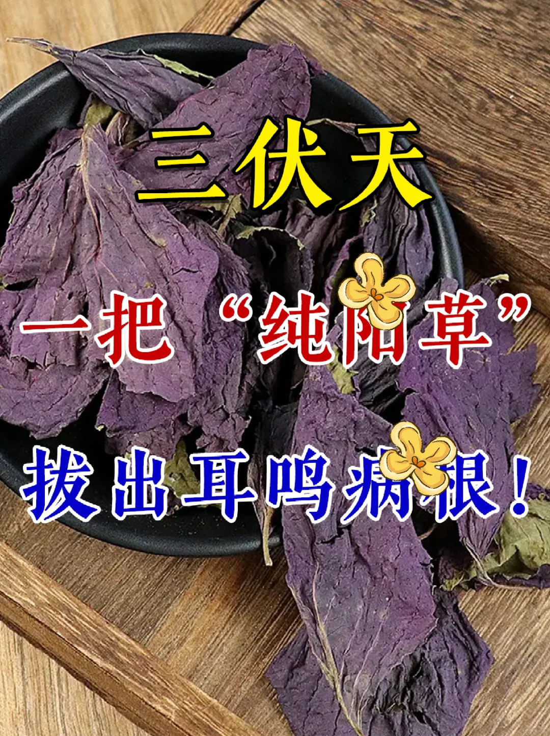 耳鸣耳聋?一把紫苏，打通耳窍，耳朵不响了！ [星R]耳鸣乃阳气不足，邪...