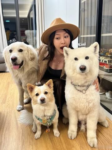 刘美含演员3手撕赛道  姐姐人美演技好，一定会有很大的进步 