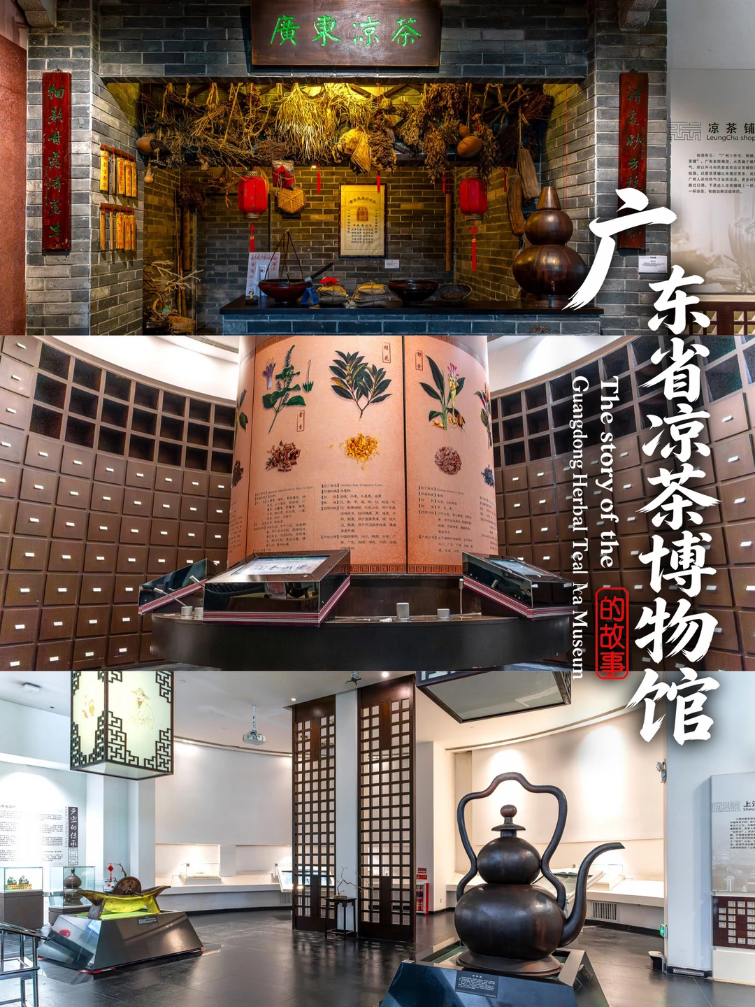 广东省凉茶博物馆|周末遛娃小众宝藏地
