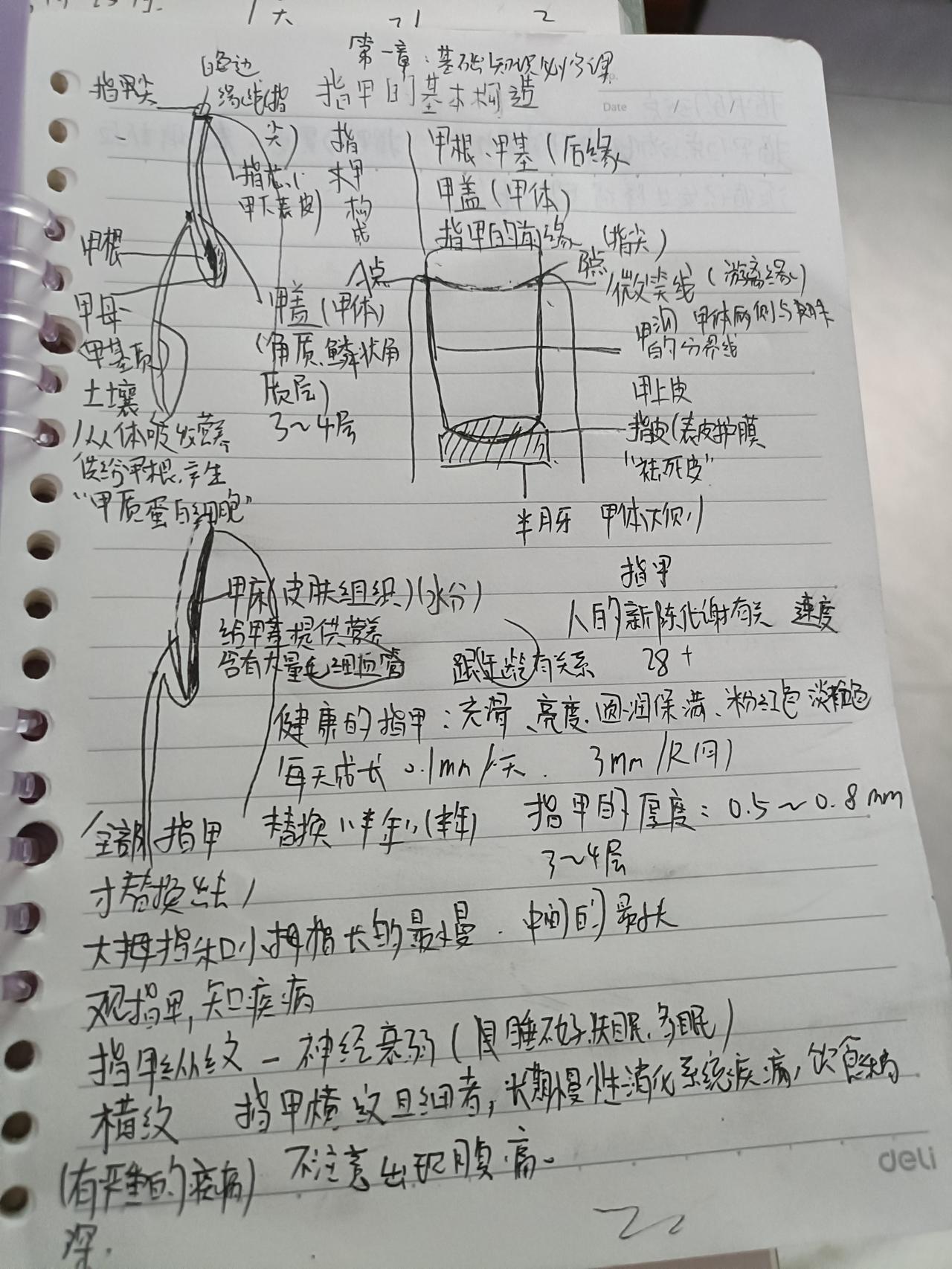 昨天买了美甲课程，我决定自己做穿戴甲创业。开赌吧！！今日学习第一天，加油！