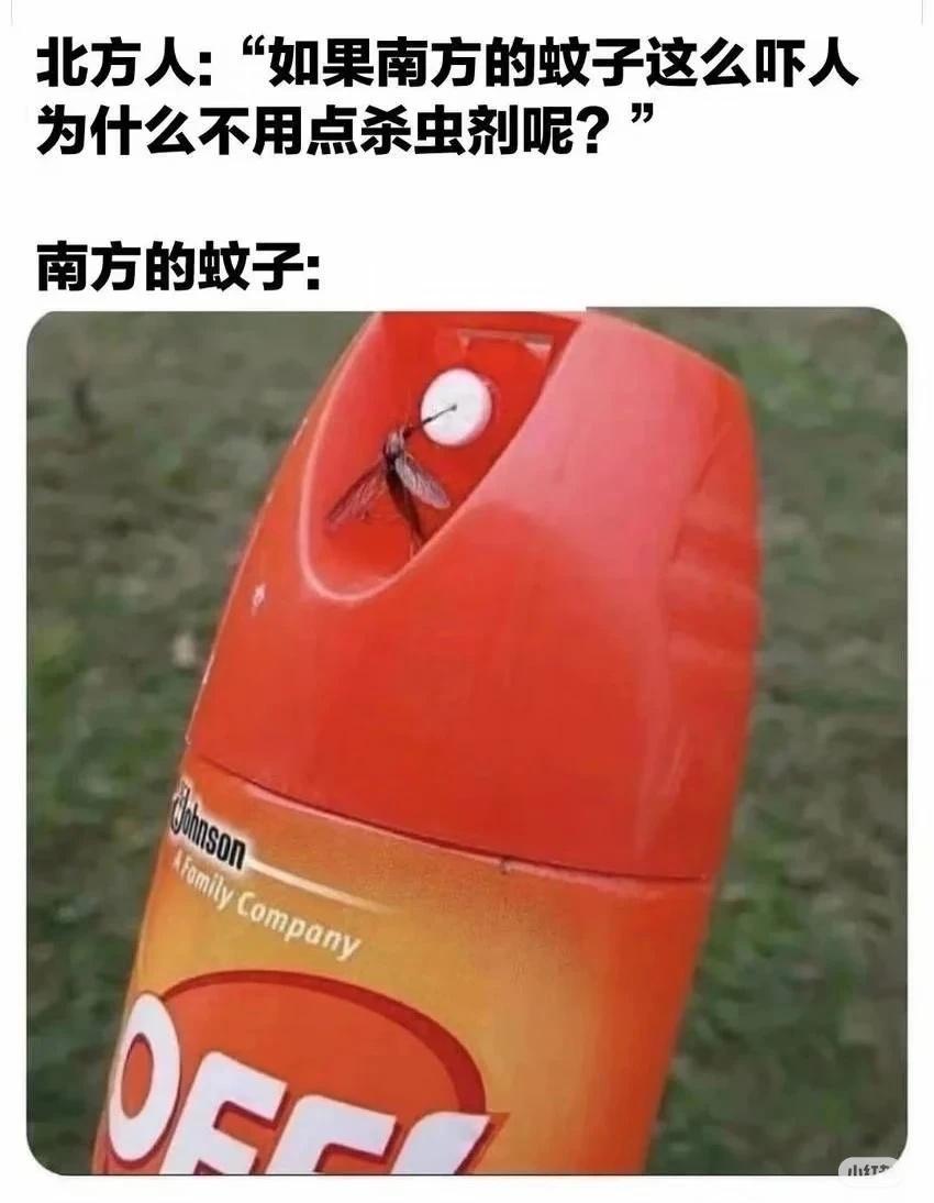 梗图
请文明赏春 年前摸鱼状态belike 请文明观树 决战足球梗之巅 上班摸鱼