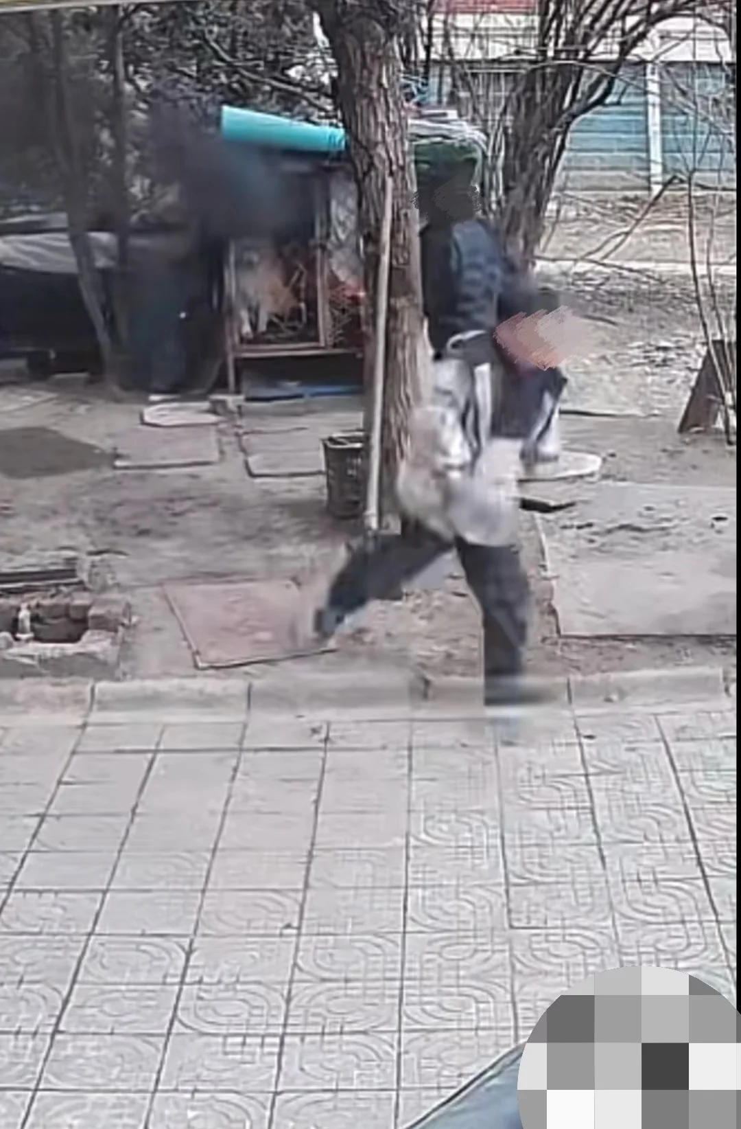 江苏连云港两个小孩纵火虐杀狗狗！！