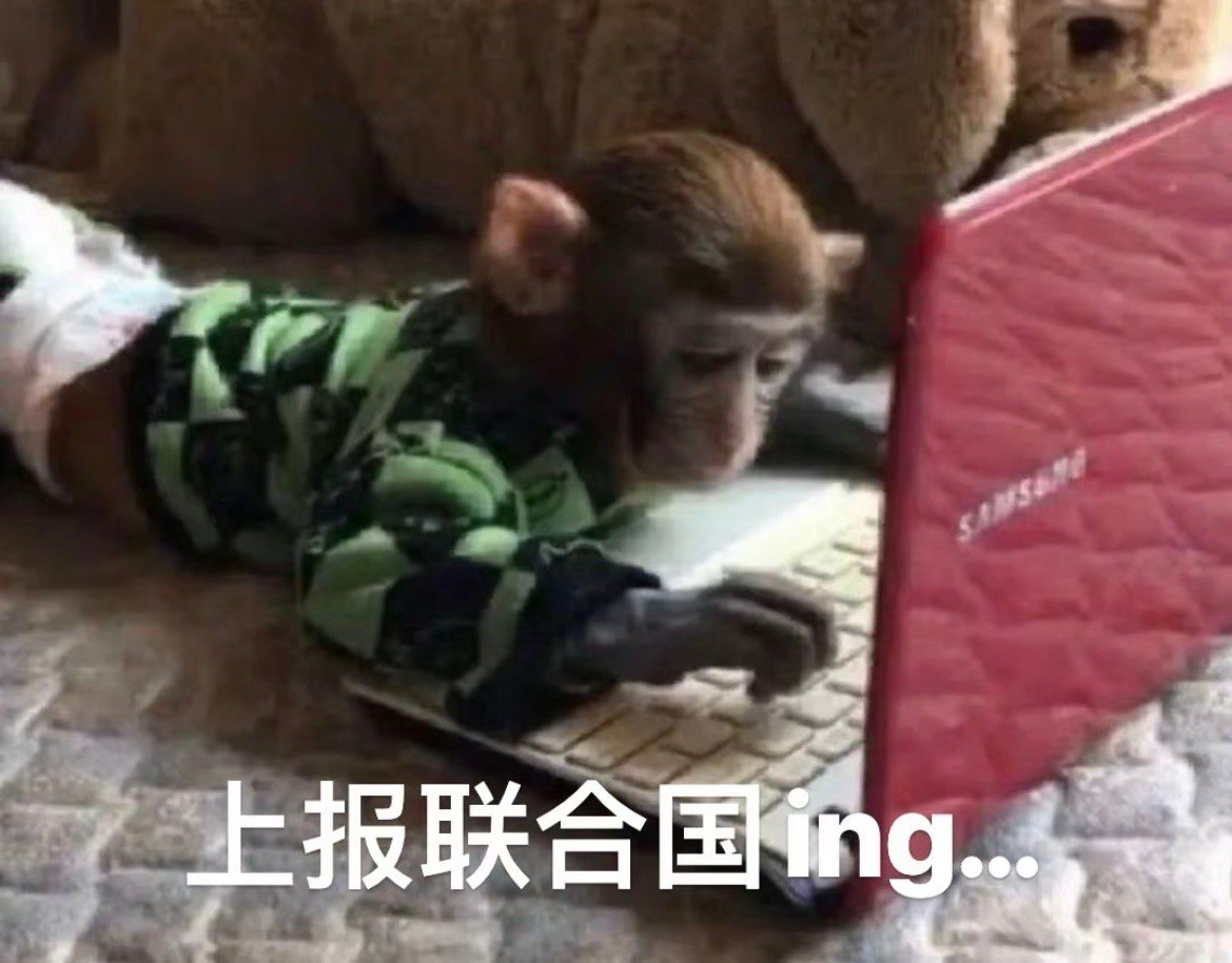 吗喽连续剧之告到联合国表情包🙊 ​​​