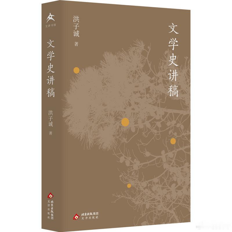阅读使我学会与焦虑和解我的私人宝藏书单书评书名：《文学史讲稿》作者: 洪子诚出版