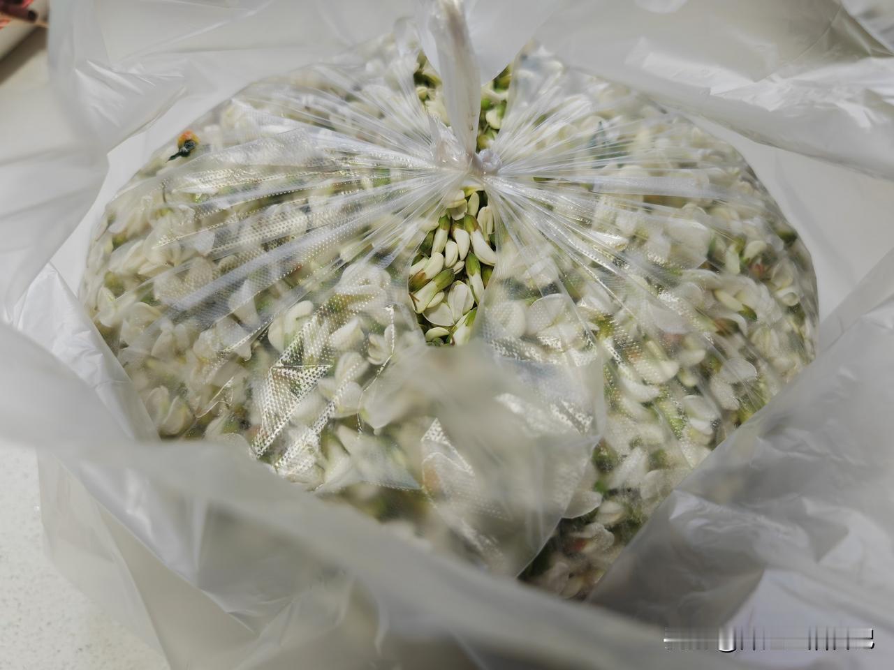 昨天老公下早班，又给我带回来一包好东西，是新鲜的洋槐花，他说是烟柜的店员给的。