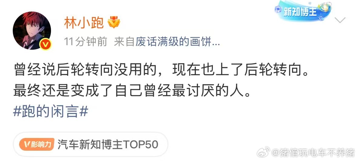 后轮转向的话题已经成为过去如今的重点是48V过个一年半载再看大v聊车