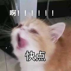 刘诗诗醉梦 lss刘诗诗沈乐水 🆘🆘🆘微博之夜投票严重告急‼️已被反超‼️