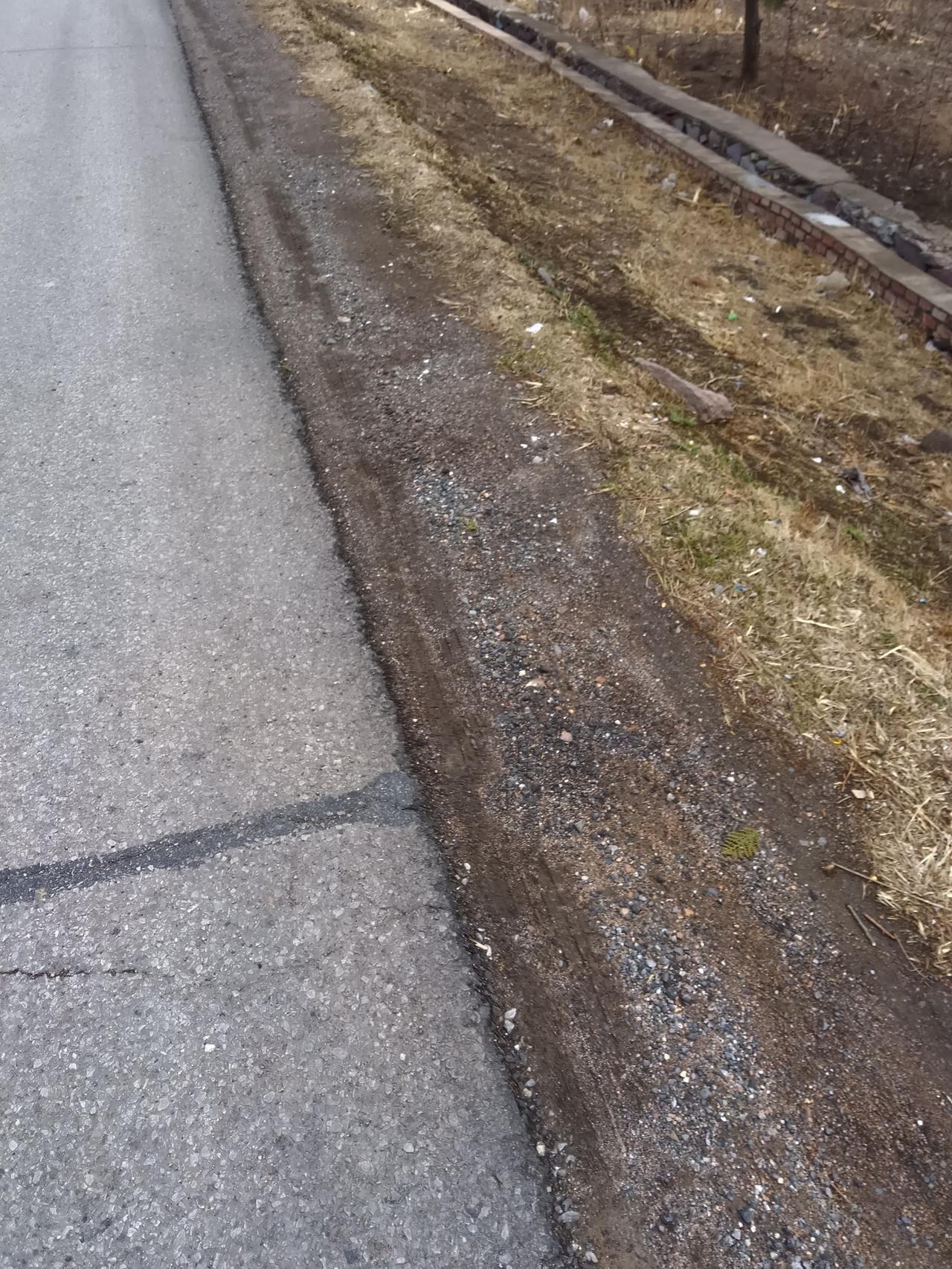 路旁野草生，行人何处寻。