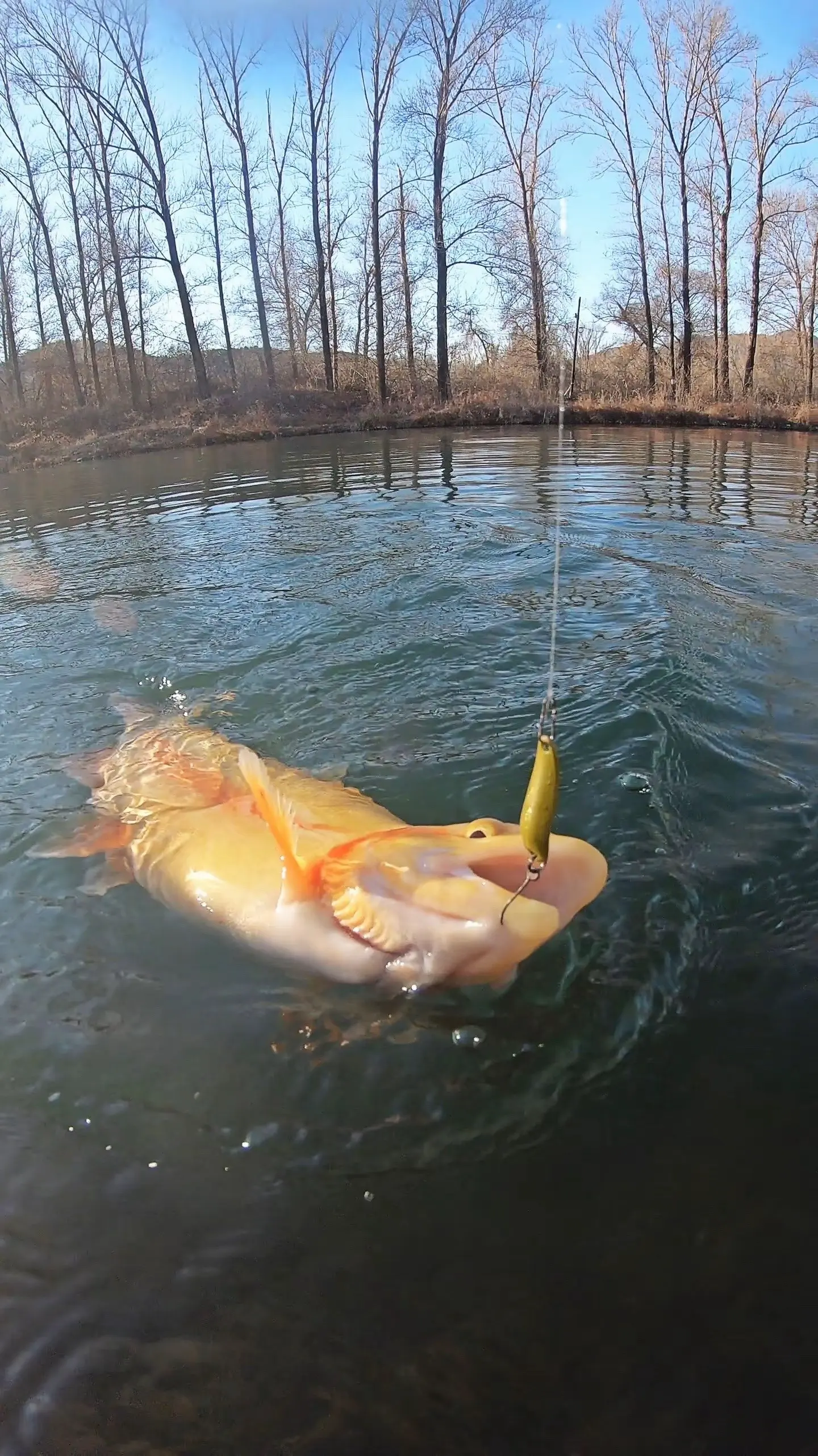 往年今日 2022.11.13。