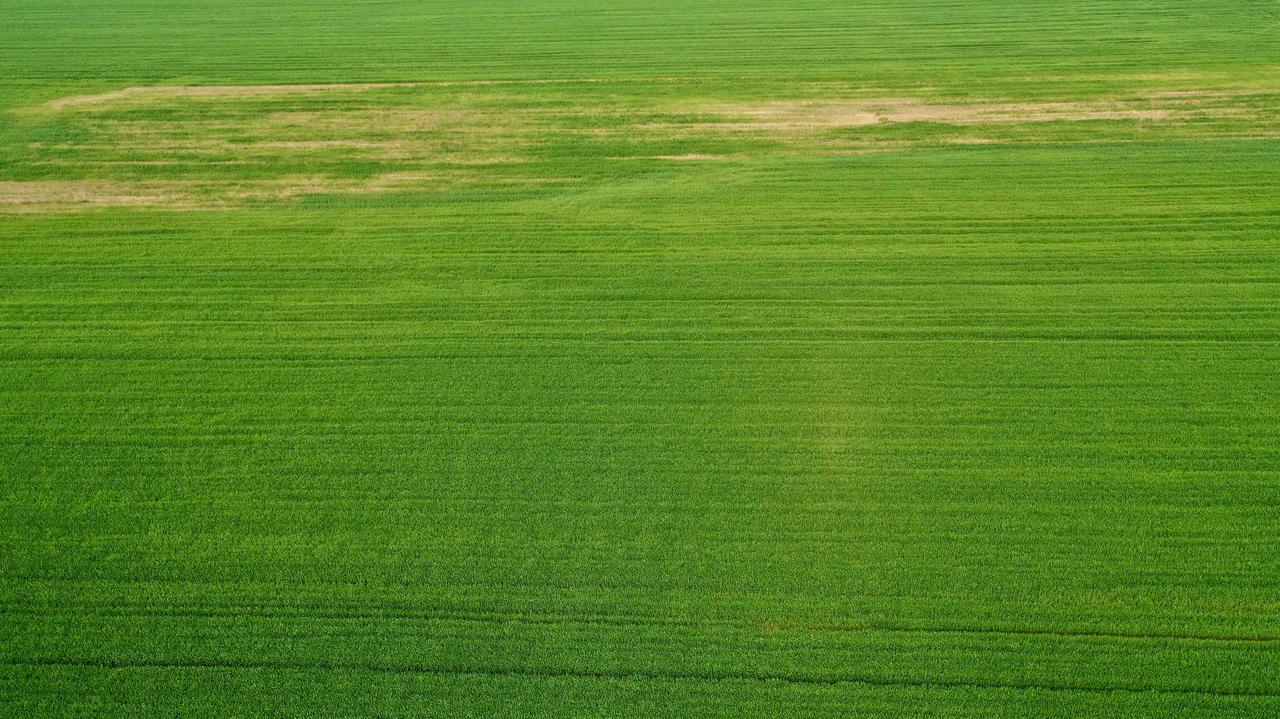 西安麦田，手机壁纸。