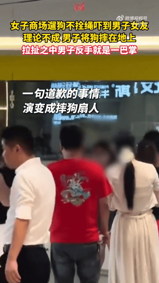 拴根绳有那么难吗？

湖南长沙，年轻女子携带了一只白色小狗逛商场，全程都没有拴绳