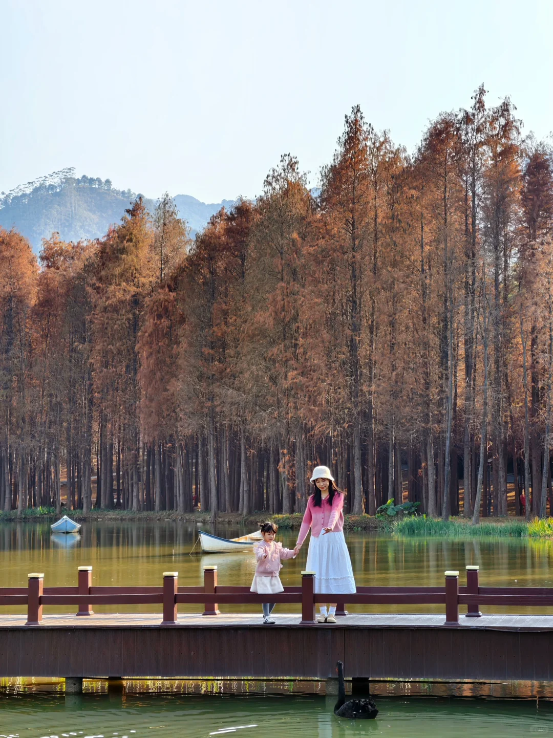 不敢相信‼️这是清远，童话红杉林太美了🍂